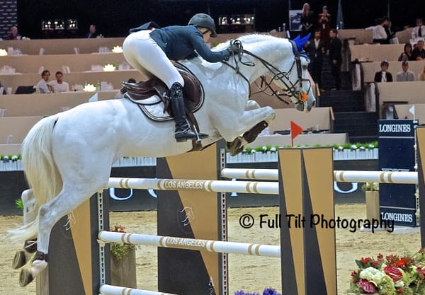 Jumping Rideability Exercise # 2 - For Horses & Riders at All Levels