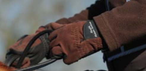 A Test to See if You Are Pulling on Your Horse