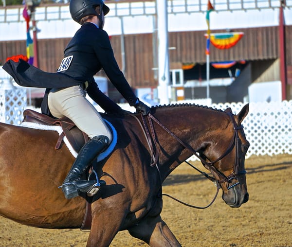 Does Your Horse Try to Pull You Out of the Saddle?