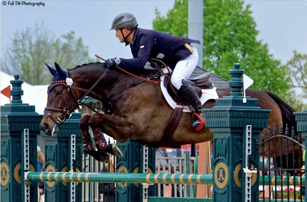 Teaching Your Horse to be More Careful Over Jumps