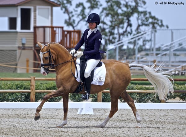 The Speed Play Exercise