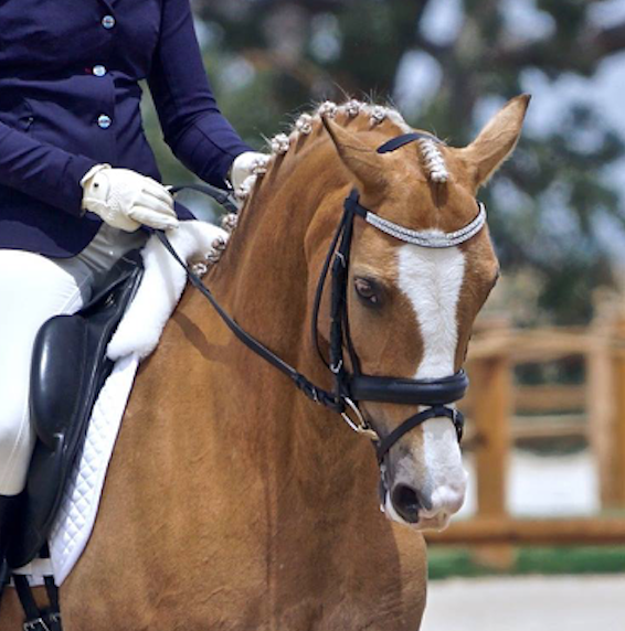 3 Distinctly Different Ways of Controlling Your Horse's Shoulders in Circles, Turns & Lateral Work