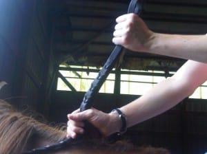Shortening Your Reins After a Drop Fence