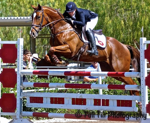 Advanced Grid Work - Adjustability Over Fences