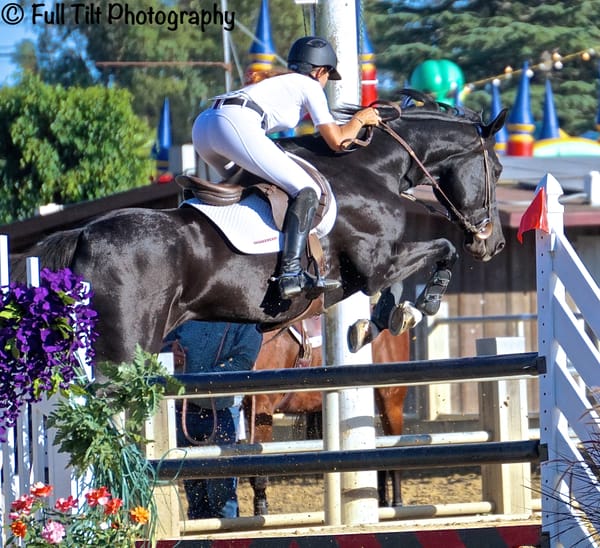 The Number One Rule For a Rider When Approaching a Jump!