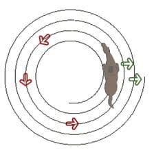 Spiral In and Out on a Circle