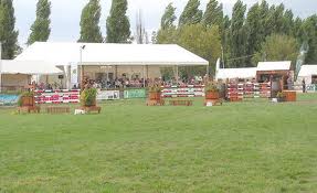 Does Your Horse (or You) Lose Confidence in Triple Combinations? Give This Exercise a Try!