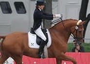 The Test for Self Carriage