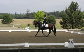 How Are Your Working Gaits?