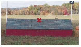 Where to Look When Jumping