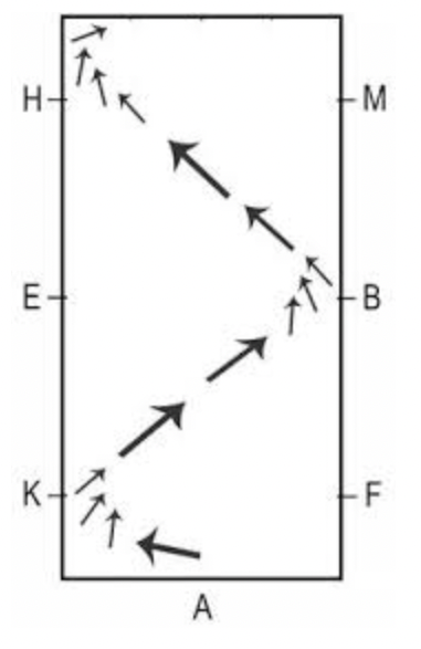 Basic Suppling Exercise # 4