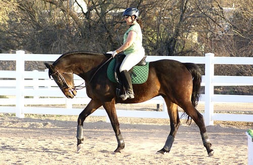 Accepting the Bit VS Giving to the Bit