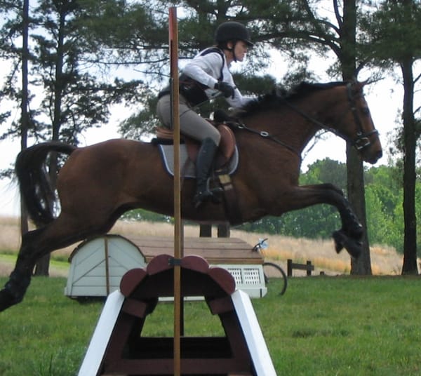 Riding the Timid Jumper