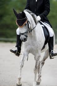 Counter Bend is Your Friend