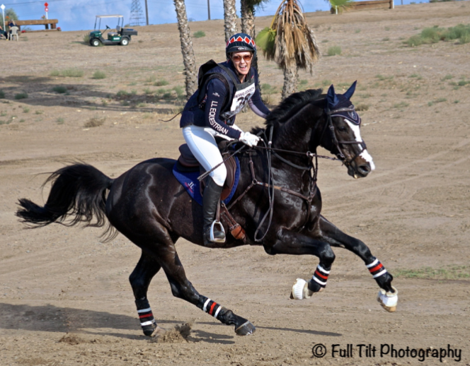 How to Half Halt While in Galloping Position