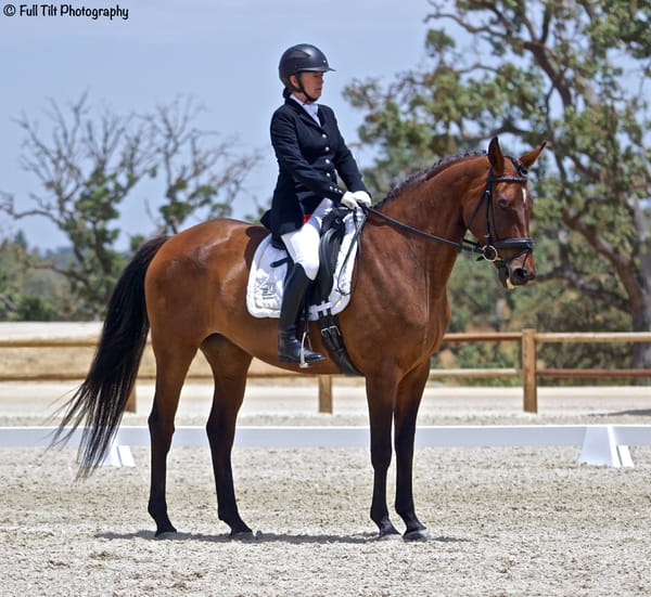 Creating Good Habits When Riding (Current Freebie!)