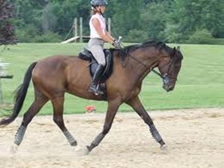 The Sit a Few Strides, Post a Few Strides Exercise